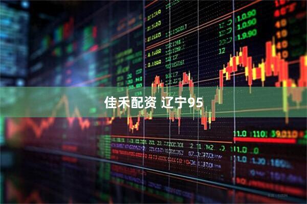 佳禾配资 辽宁95