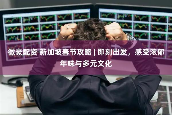 微豪配资 新加坡春节攻略 | 即刻出发，感受浓郁年味与多元文化
